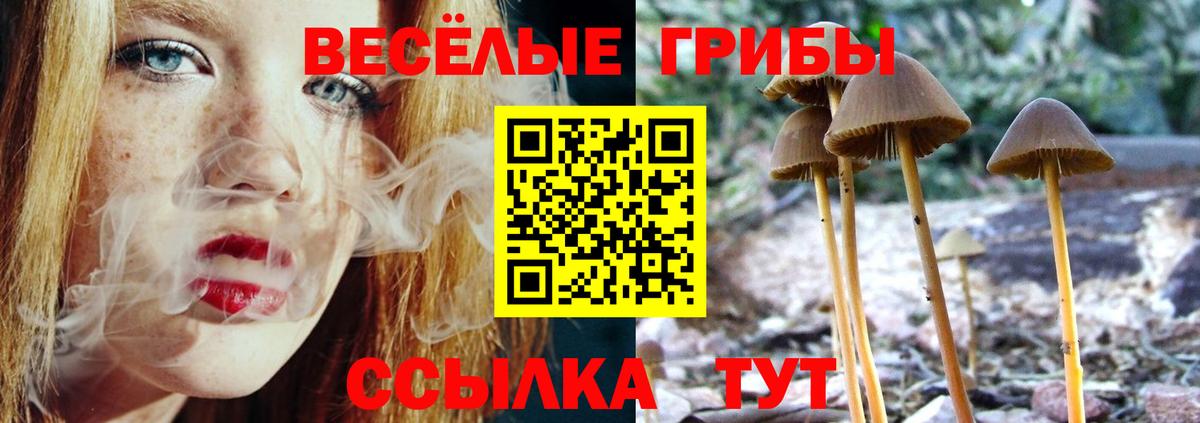Ревда  Галлюциногенные грибы мицелий  Вход с VPN 